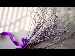 Embedded thumbnail for С 7 ДО 10: ПРАВОСЛАВНЫМ ЮГРЫ РАССКАЗАЛИ О ТОМ, КАК ПРАВИЛЬНО ОТМЕТИТЬ ВЕРБНОЕ ВОСКРЕСЕНЬЕ